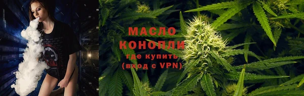 мдпв Гусь-Хрустальный