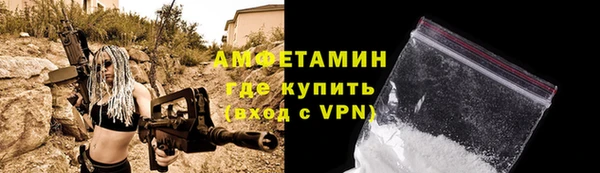 мдпв Гусь-Хрустальный