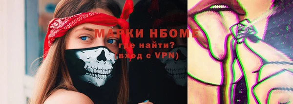 мдпв Гусь-Хрустальный