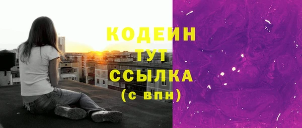 гидра Вязьма