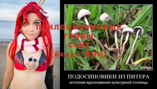 экстази Гусев