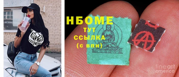 гидра Вязьма