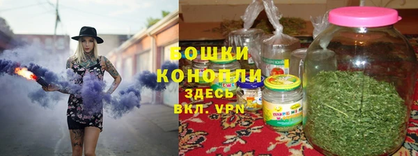 мдпв Гусь-Хрустальный